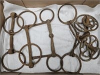 5 Antique Horse Bits
