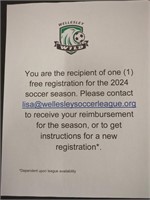 2024 Wellesley Minor Soccer Association