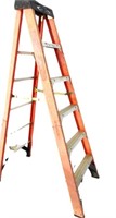 6' Werner Ladder