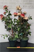 2 artificial roses in plastic pots.