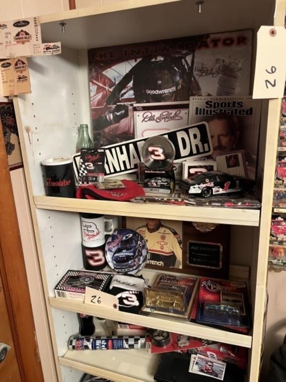 Earnhardt 3/8 Mixed Collection, diecasts, Misc.