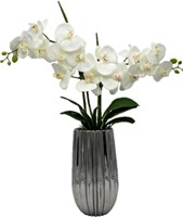 White Orchids in Chrome Ribbed Vase