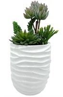 Assorted Succulents & Cacti in White Wave Vase