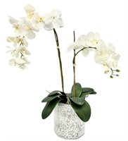 Double Orchid in Mercury Glass Vase