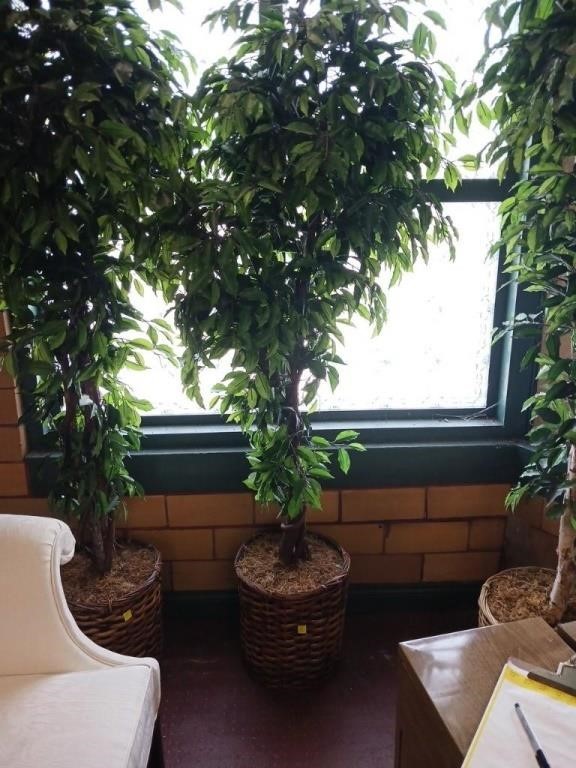 5FT POTTED TREE