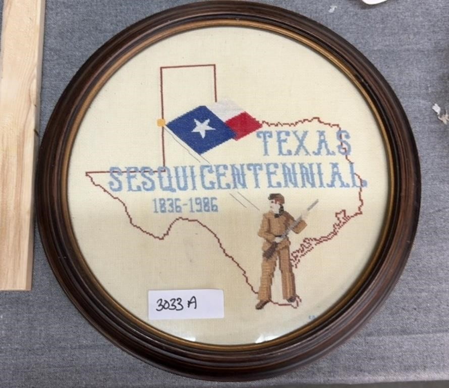 Embroidered Texas picture