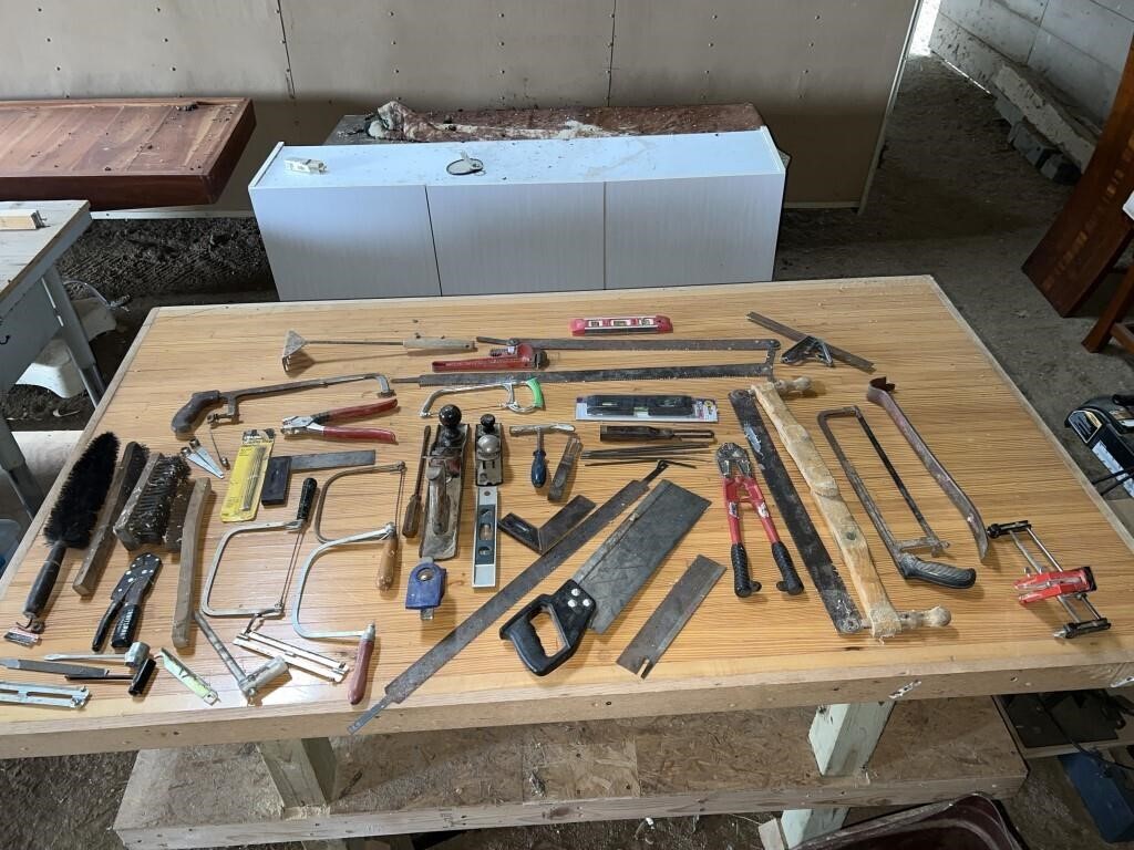Various tools (saws, brushes, planer, & more)