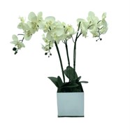 Orchids in Mirrored Vase