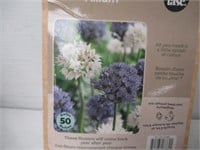 50-Pc Tasc Allium Amplectens Bulbs
