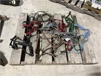 Horse Halters And Bridles