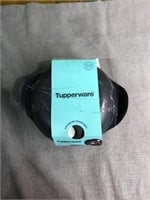 Tupperware freeze and heat container