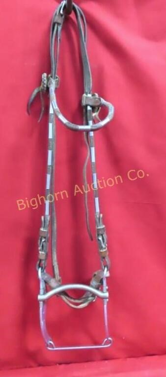 VTG Bridle: Rolled Leather w/Silver Accents