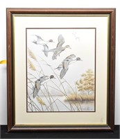 AUTUMN MIST PINTAIL Print by Dave Chapple