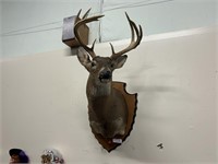 Nicely Mounted 10 Point Buck