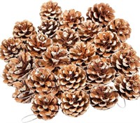 24 Pcs Natural Pine Cones Christmas Rustic Pine Co