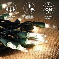 Joiedomi 450 LED Christmas Lights Outdoor,111.6 FT