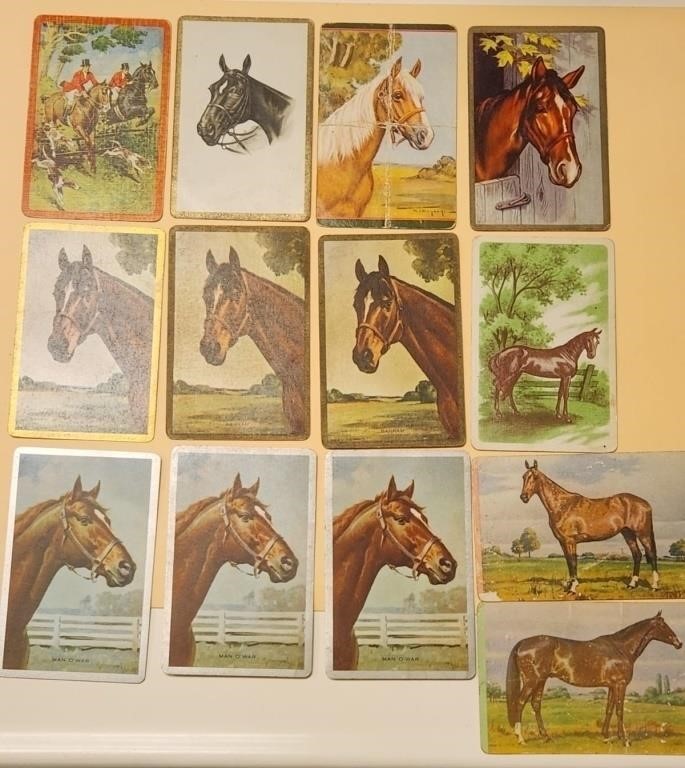 Vintage Playing Cards Horses x 13 Cards.Z4c3