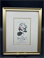 Botanical Print in 12x15 Gold Frame
