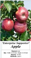 Apple Tree Enterprise Supporter