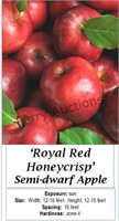 Apple Tree Royal Red Honeycrisp