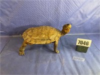 Turtle Cadaver, 8.5"Long