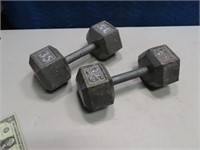 pair 35lb Dumbbell Weights