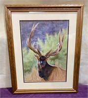Framed Elk Picture