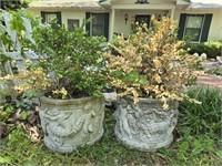 Pair of gorgeous concrete planters with plants