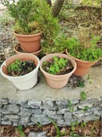 Lot of 6 plastic pots