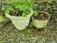 One foam and one terracotta plant pot