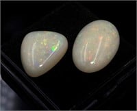 Two Australian white opals (19.90ct)