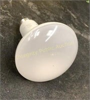 Flood Light Bulb