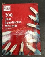 Home Accent Clear Mini Lights