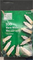 Home Accents 100 Warm White Mini LED Lights
