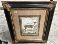 John Richard Framed Fallow Deer Print