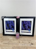 Two Brand New Picture Frames
