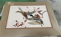 Hand Colored Duck Print