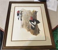 Ray Harm Signed Red Headed Woodpecker Colored Prin