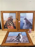 Framed hunting dog pictures