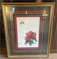 Framed Humming Bird \Flower Signed Print