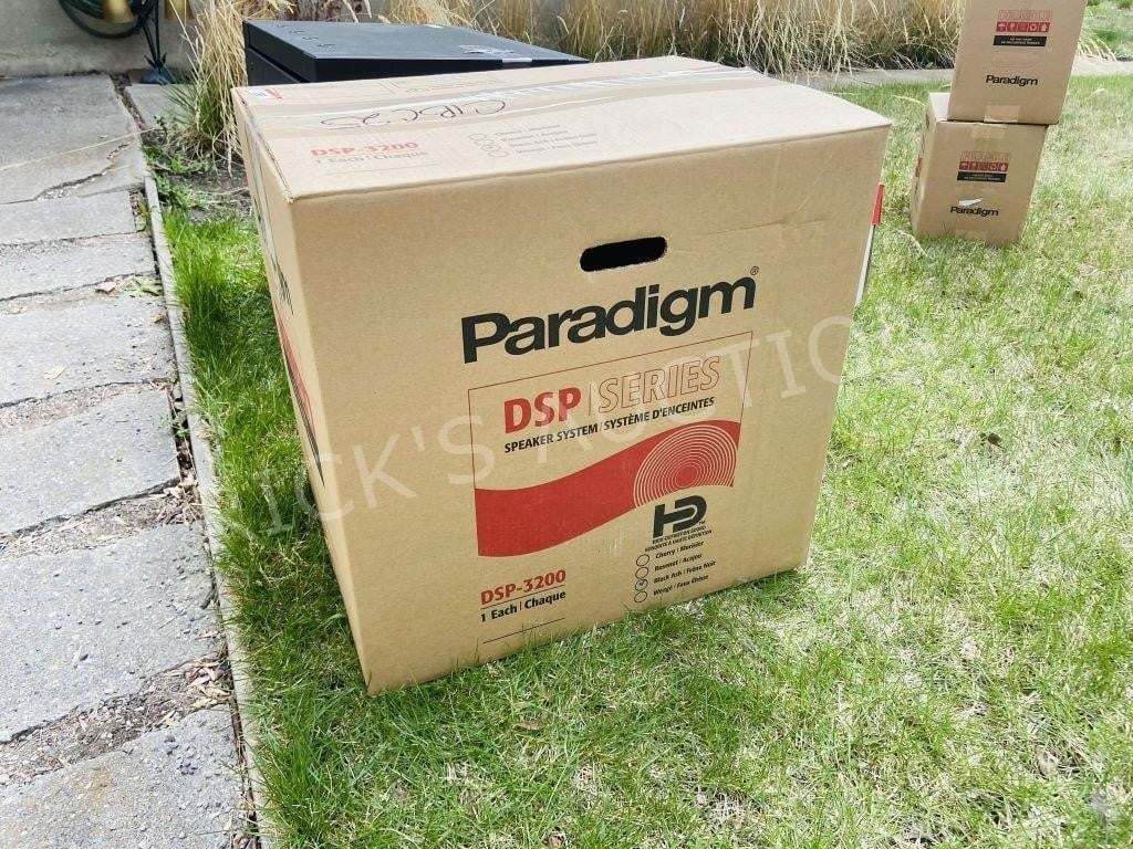 Paradigm subwoofer DSP-3200