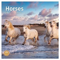 2023 Horses Monthly Wall Calendar by Bright Day,