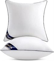Siluvia 20x20 Inch Pillow Inserts Throw Pillow Ins