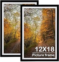 SEALED - 12x18 Picture Frame Set of 2,11x17 with M
