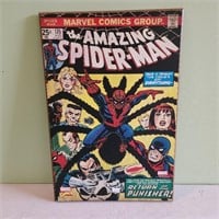 Marvel Comics The Amazing Spiderman Wall