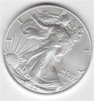 US 1 oz .999 fine Silver Eagle Coin, 2024 date