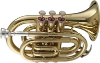 Stagg WS - TR245 Bb Pocket Trumpet with Case