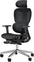 Ergonomic Mesh Office Chair  High Back  Black