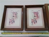 Deer pictures