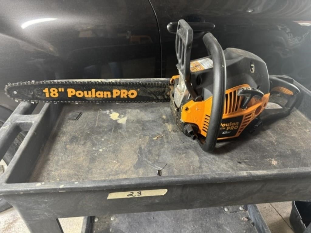 Poulan Pro PP4218A Chainsaw in Hard Case